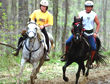 Competitive Trail Riding