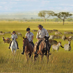 Leisure, Safaris, Travel, Trails, Outrides